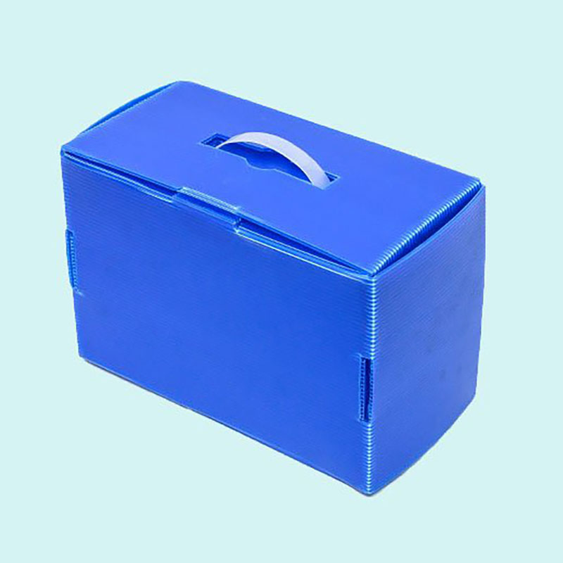 Cavum Board Express Box